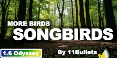 Логотип мода