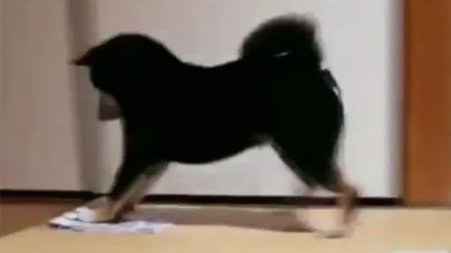 Логотип мода