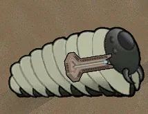 Логотип мода