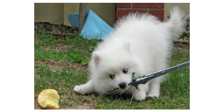 Логотип мода