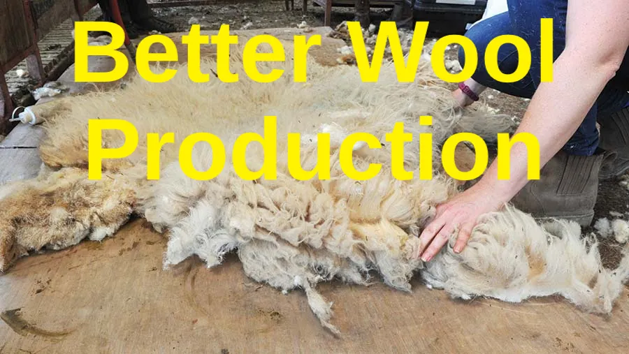 Логотип мода