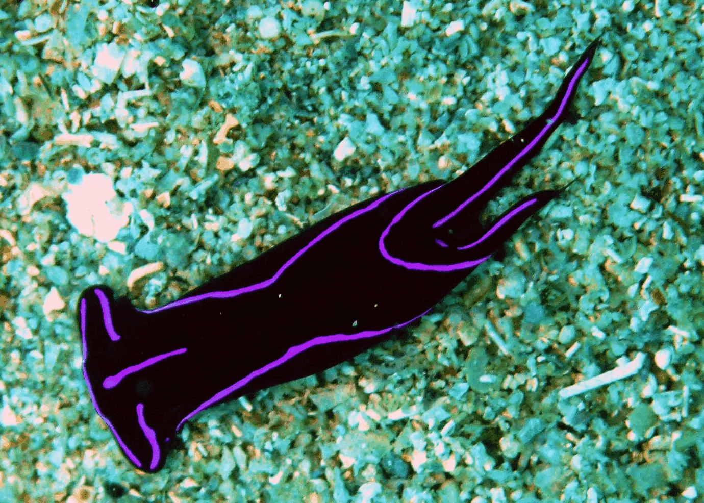 Логотип мода