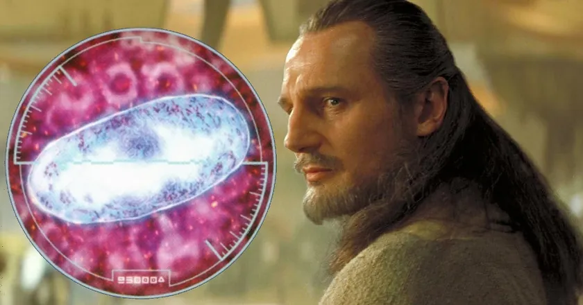 Логотип мода