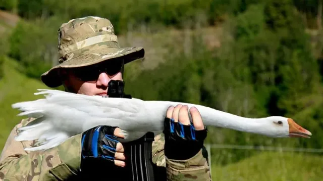 Логотип мода