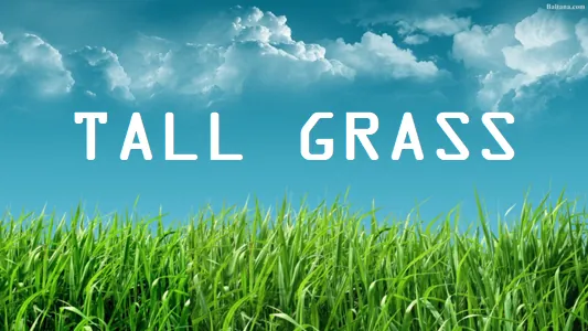 Логотип мода