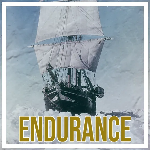 Логотип мода