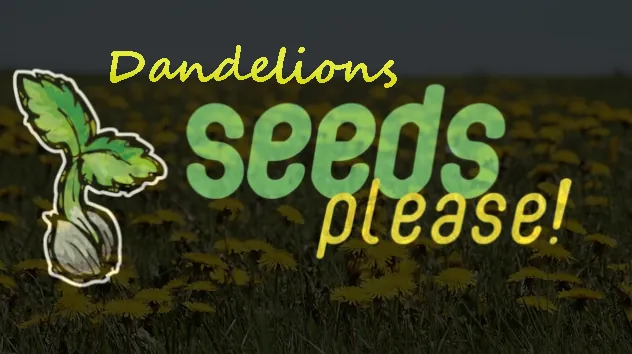 Логотип мода