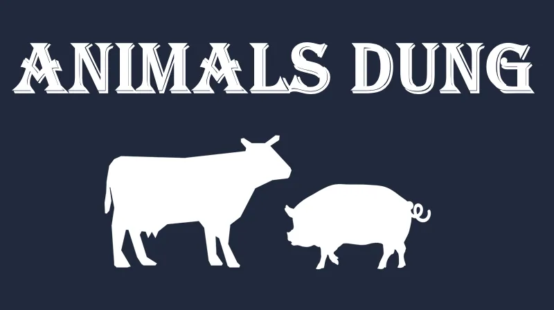 Логотип мода