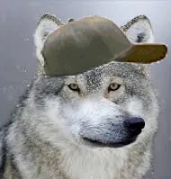 Логотип мода